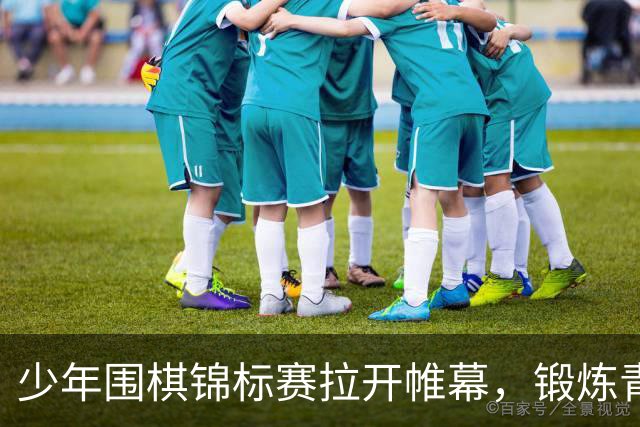 少年围棋锦标赛拉开帷幕，锻炼青少年智慧与毅力
